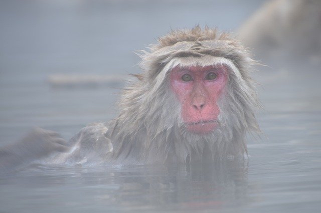 ゴルフのやらかしポイント⑤風呂で油断する